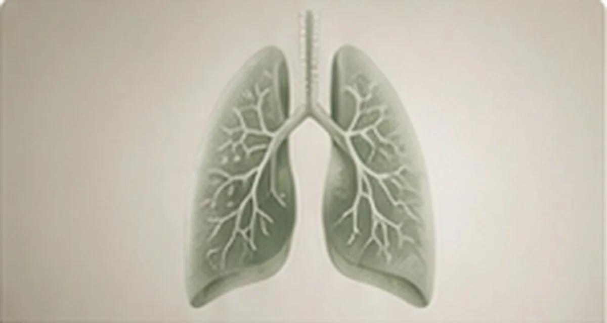 COPD verstehen: Ursachen, Symptome und Behandlung